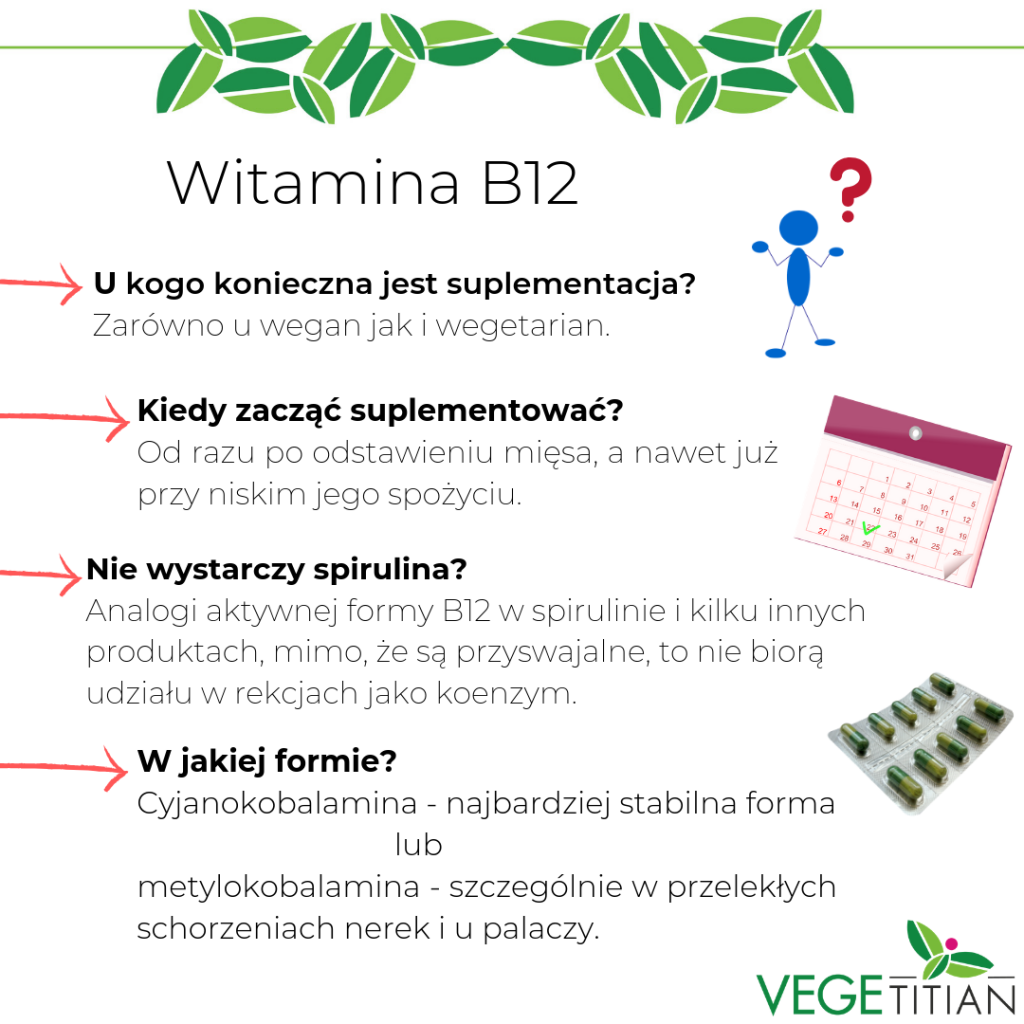 Witamina B12 W Diecie Wegańskiej – Vegetitian.com